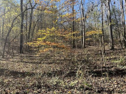 Land in Perry County, Tennessee
