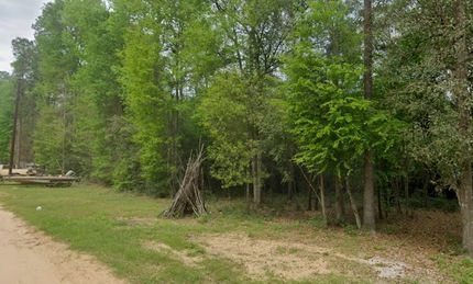 Undeveloped Land in San Jacinto County, Texas