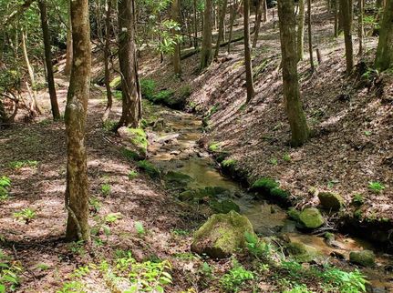 Land for sale in Rutherford County, North Carolina