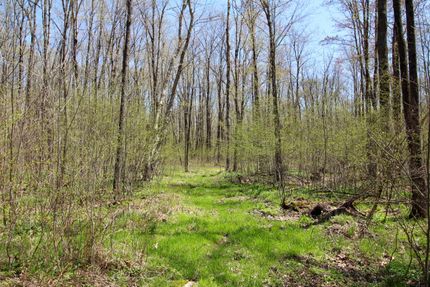 Farm and Ranch for sale in Taylor County, Wisconsin