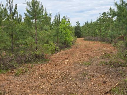 Recreational Property for sale in Schley County, Georgia