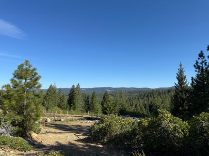Timberland Property in Nevada County, California
