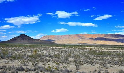Timberland Property for sale in Brewster County, Texas