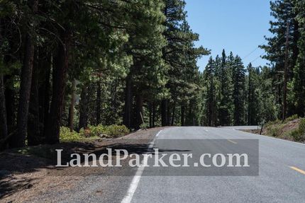 Timberland Property in Modoc County, California