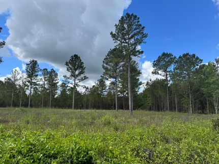 Homesite in Calhoun County, Georgia
