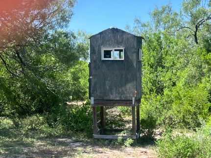 Hunting Property in Duval County, Texas