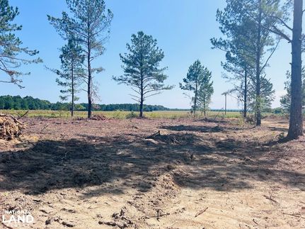Homesite in Taylor County, Georgia