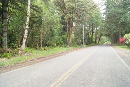 Undeveloped Land for sale in Grays Harbor County, Washington