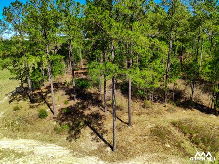 Land for sale in Taylor County, Georgia