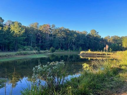 Recreational Property in Amite County, Mississippi