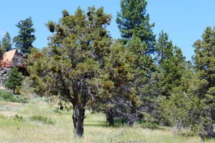 Farm and Ranch for sale in Klamath County, Oregon