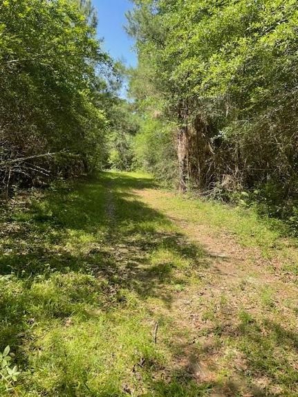 Farm and Ranch for sale in Walthall County, Mississippi