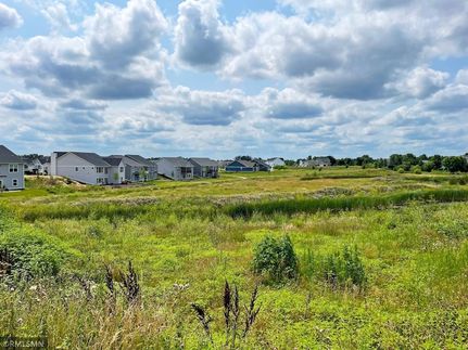 Undeveloped Land in Wright County, Minnesota