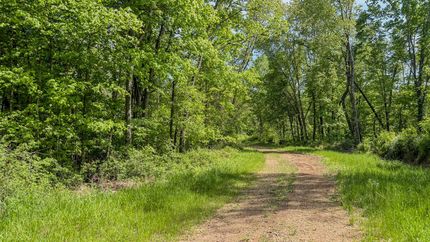 Timberland Property in Robertson County, Tennessee