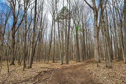 Hunting Property in Marinette County, Wisconsin