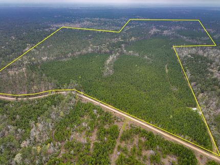 Undeveloped Land in Houston County, Texas