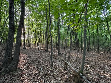 Timberland Property for sale in Wilkes County, North Carolina