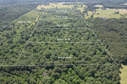 Land for sale in Shelby County, Texas