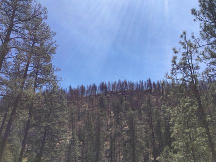 Farm and Ranch for sale in Lincoln County, New Mexico