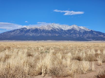 Timberland Property in Costilla County, Colorado