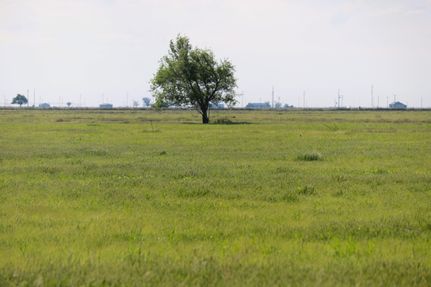 Farm and Ranch for sale in Swisher County, Texas