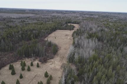 Timberland Property in Delta County, Michigan
