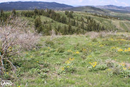 Timberland Property in Caribou County, Idaho