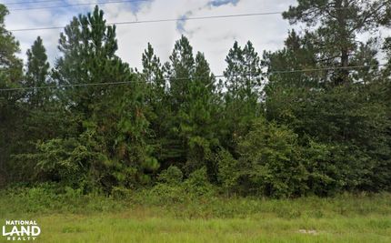 Recreational Property in Wayne County, Georgia