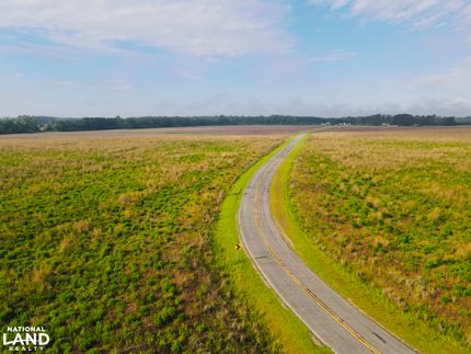 Farm and Ranch in Pender County, North Carolina