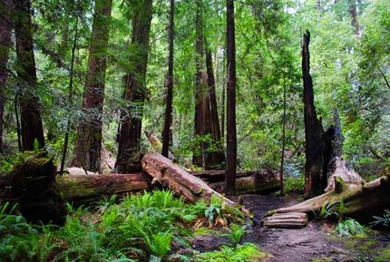 Farm and Ranch for sale in Humboldt County, California