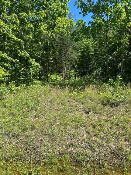 Land for sale in Fentress County, Tennessee