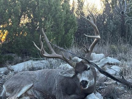 Horse Property for sale in Stonewall County, Texas