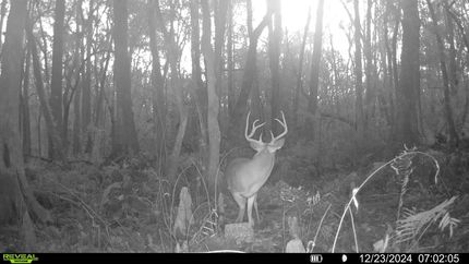 Timberland Property for sale in Madison County, Florida