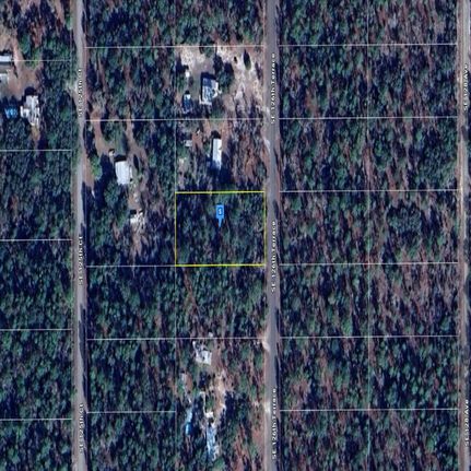 Undeveloped Land in Levy County, Florida