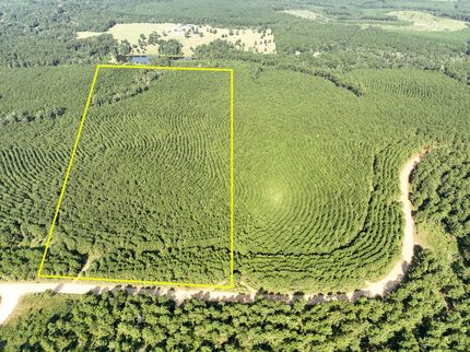 Farm and Ranch for sale in Tyler County, Texas