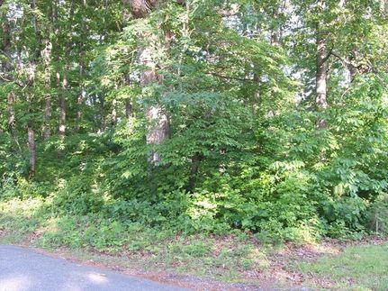 Farm and Ranch for sale in Charlotte County, Virginia