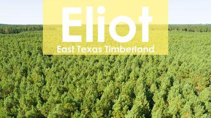 Land in Trinity County, Texas