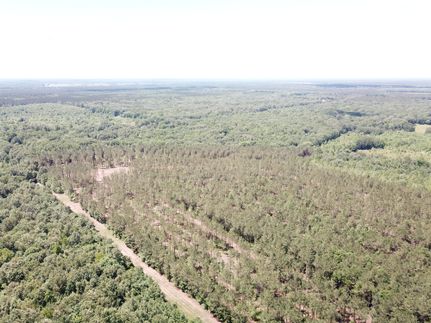 Timberland Property for sale in Bowie County, Texas