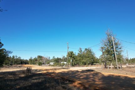 Undeveloped Land in Putnam County, Florida