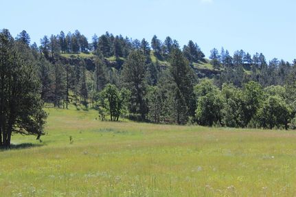Farm and Ranch for sale in Crook County, Wyoming