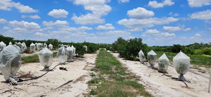 Land for sale in Polk County, Florida