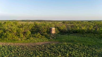 Timberland Property for sale in Coleman County, Texas
