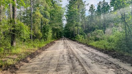 Hunting Property in Colleton County, South Carolina