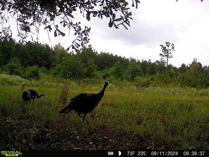 Recreational Property for sale in Calhoun County, Arkansas
