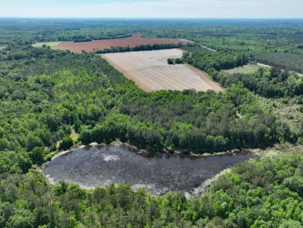 Farm and Ranch for sale in Bamberg County, South Carolina