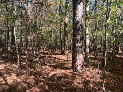Land for sale in Wayne County, Mississippi