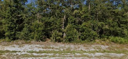 Farm and Ranch in Putnam County, Florida