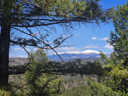 Undeveloped Land for sale in Fremont County, Colorado