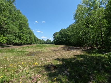 Land for sale in Alcorn County, Mississippi