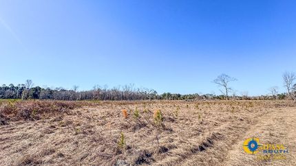 Land for sale in Bulloch County, Georgia